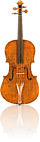 altvioolsnaar