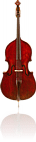 contrabassnaar