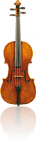 vioolsnaar