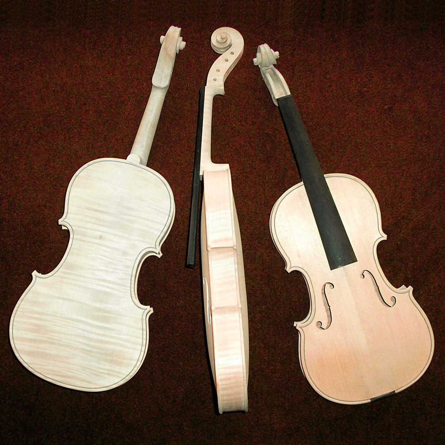 vioolbouw